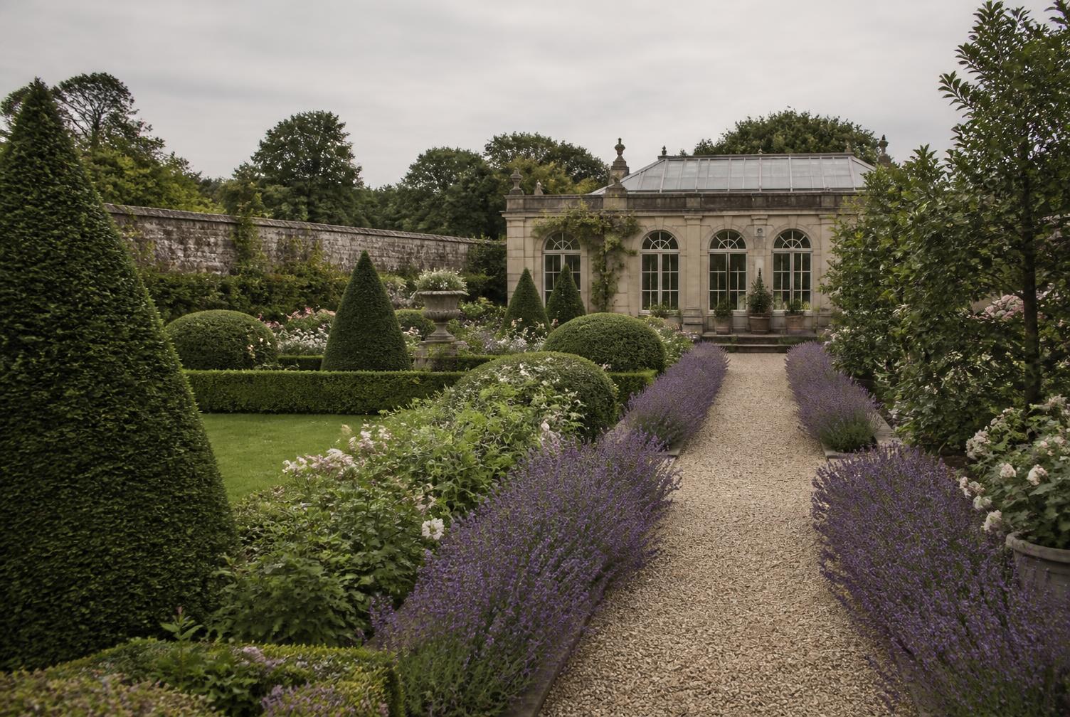 Walled garden with topiary and lavender leading to a stone orangery